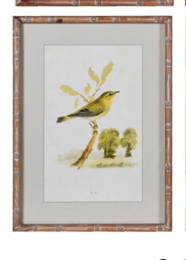 Wooden framed sparrow bird pictures prints 4 styles