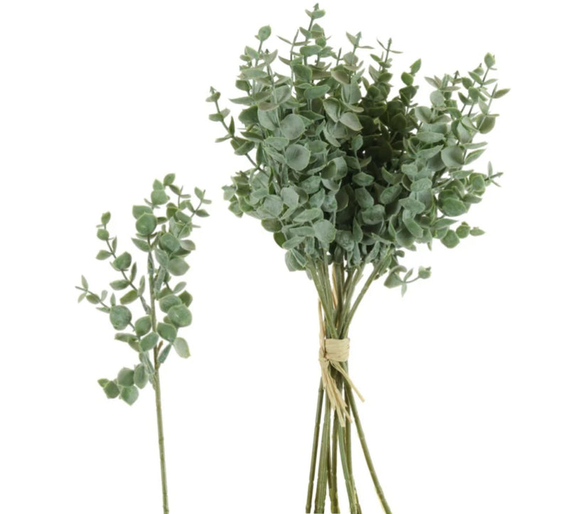 Frosted Eucalyptus multi Stem Bunch 2 sizes 5 and 10 stem