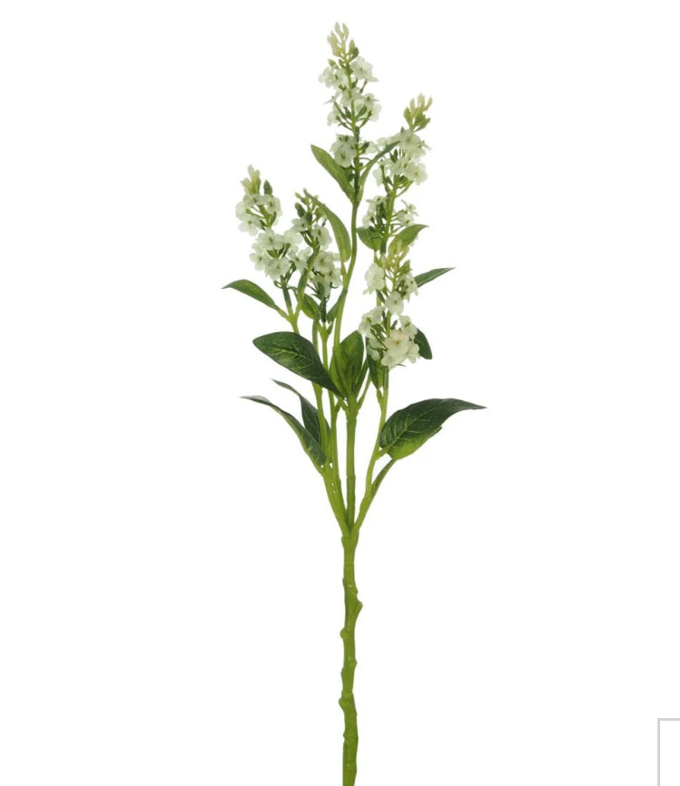 White wild meadow stem 60cm