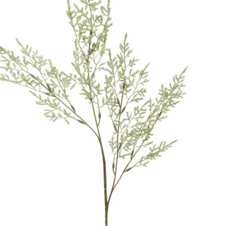 Limonium Spray Stem 76cm