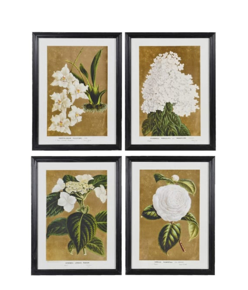 Black framed floral prints 4 styles