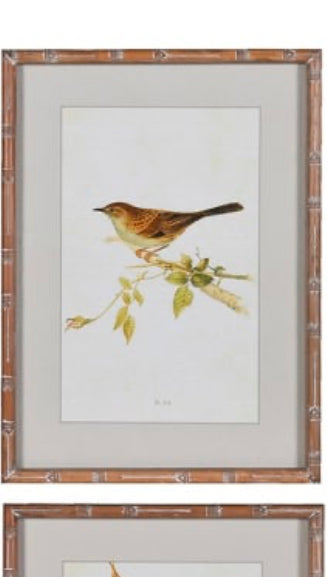 Wooden framed sparrow bird pictures prints 4 styles