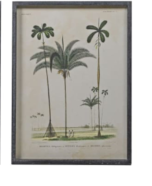 Framed palm prints 56x42cm 2 styles