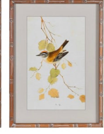 Wooden framed sparrow bird pictures prints 4 styles