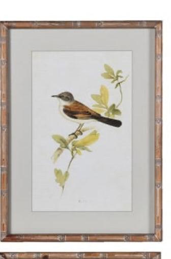 Wooden framed sparrow bird pictures prints 4 styles