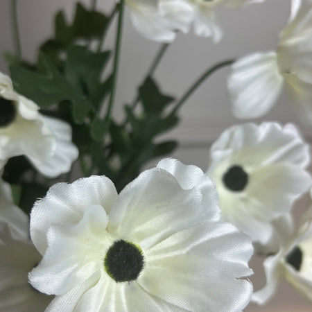 Wild meadow poppy cream 48cm