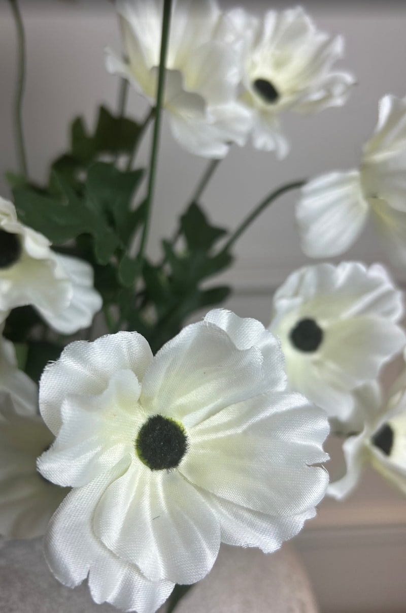 Wild meadow poppy cream 48cm