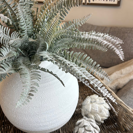 Frosted fern bunch