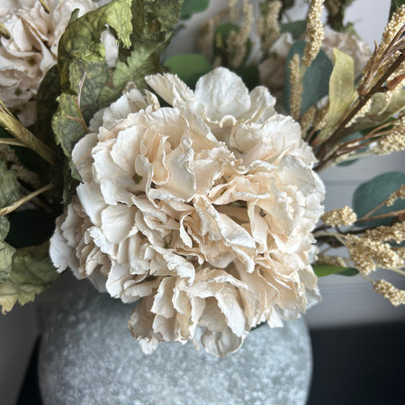 Oyster blush Ruffled Hydrangea Stem