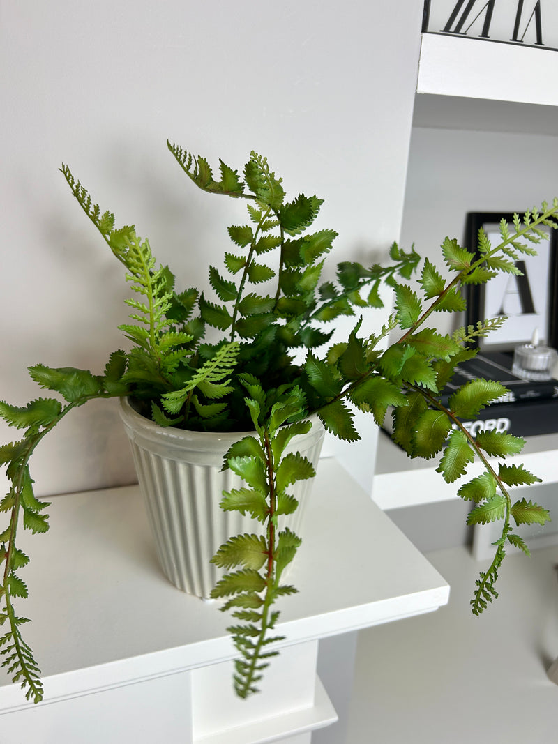 Natural Green Wild Fern Bunch Stem real feel