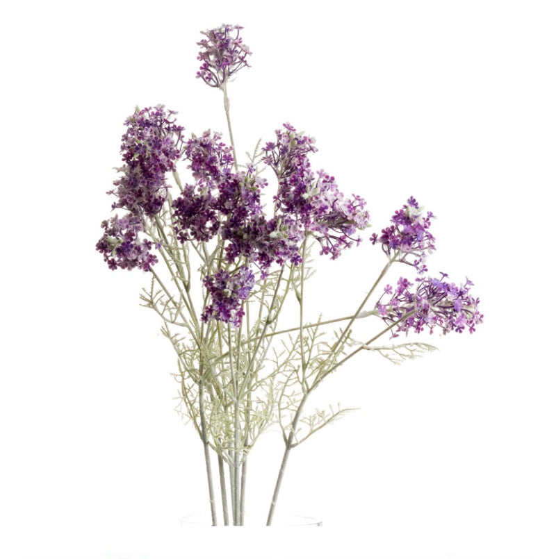 Purple Meadow Flower Stem