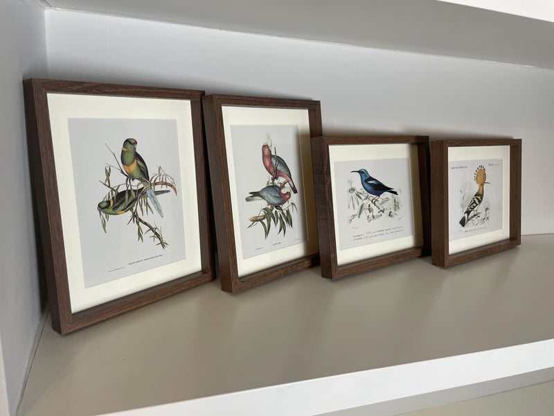 Set of 4 bird prints