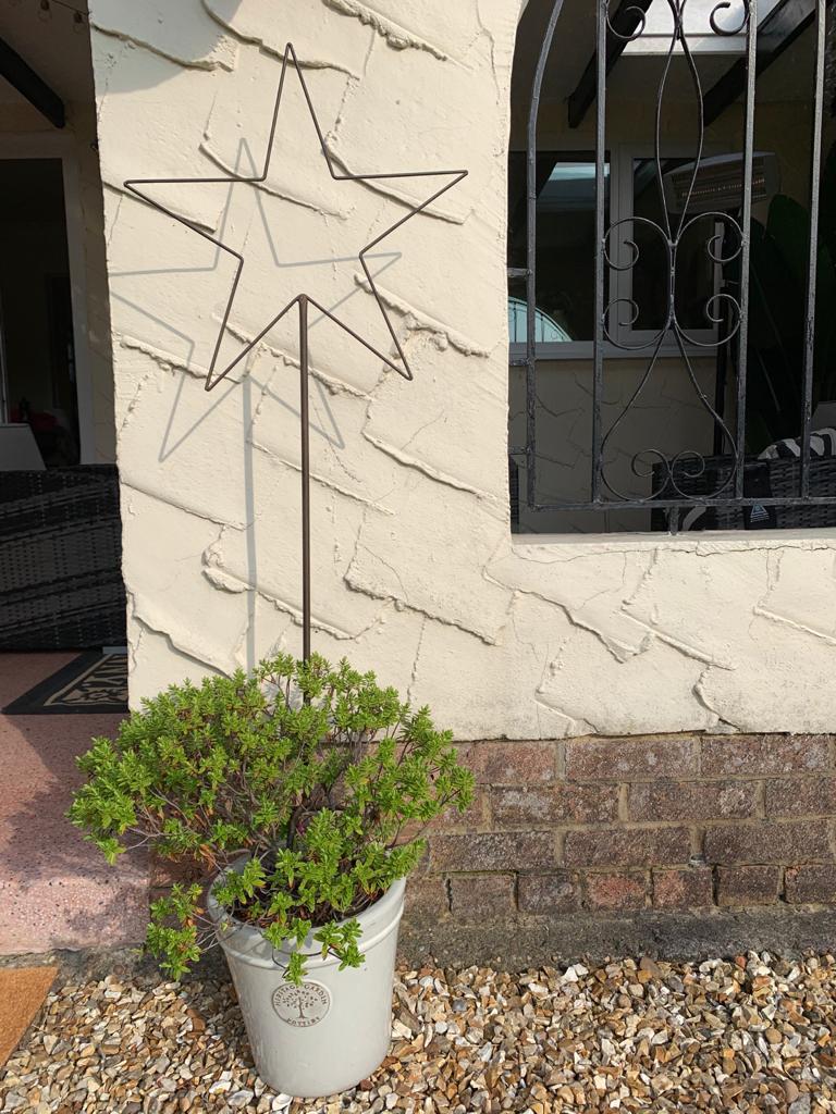 Small metal star garden stake