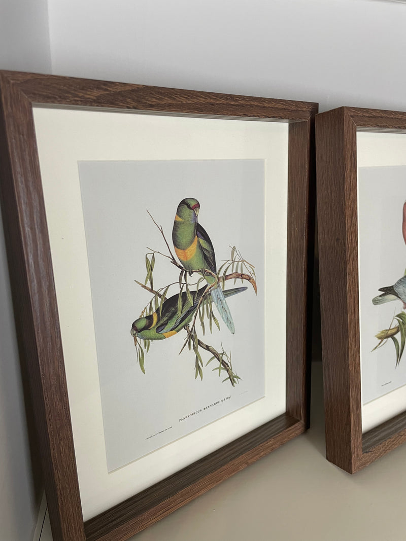 Set of 4 bird prints