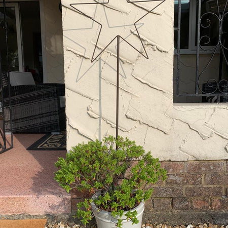 Small metal star garden stake