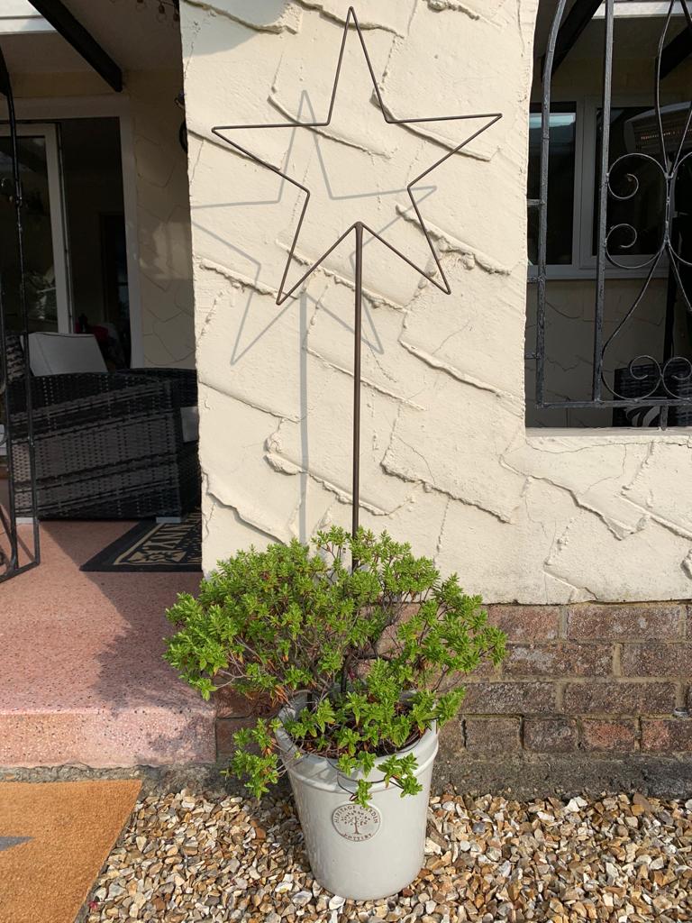 Small metal star garden stake